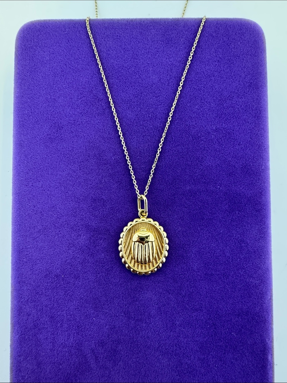 💛 Mejuri 18k Gold Vermeil Scarab Coin Necklace | Resilience Retired Designer